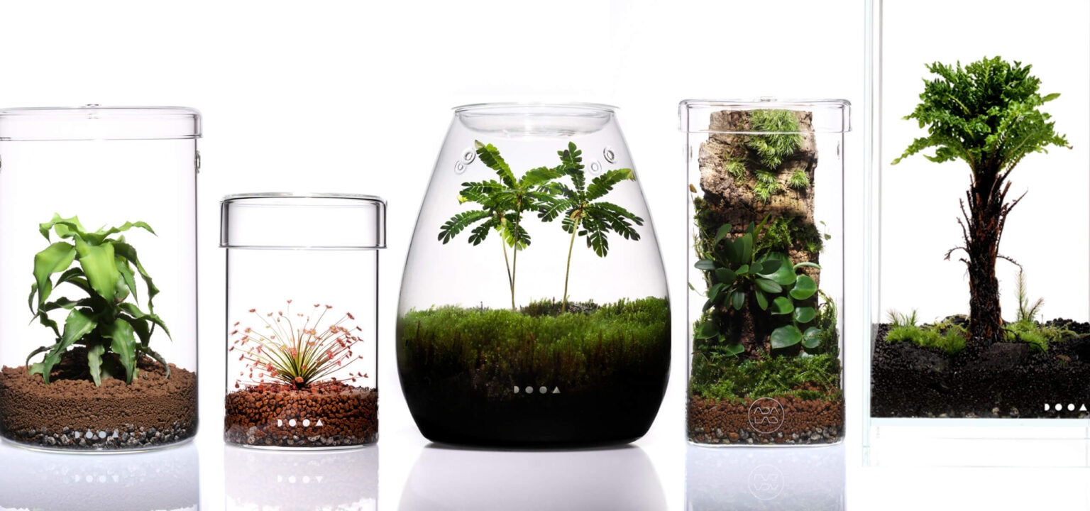 Aquascaping Workshops